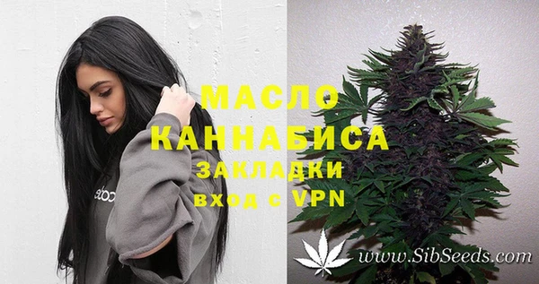 дмт Алзамай
