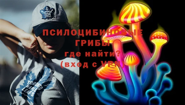 ГАЛЛЮЦИНОГЕННЫЕ ГРИБЫ Алексин