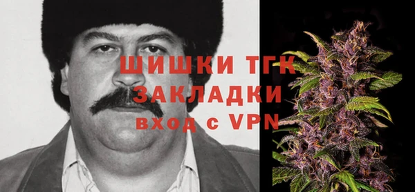 дмт Алзамай