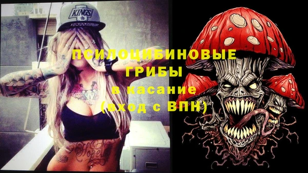 ГАЛЛЮЦИНОГЕННЫЕ ГРИБЫ Алексин